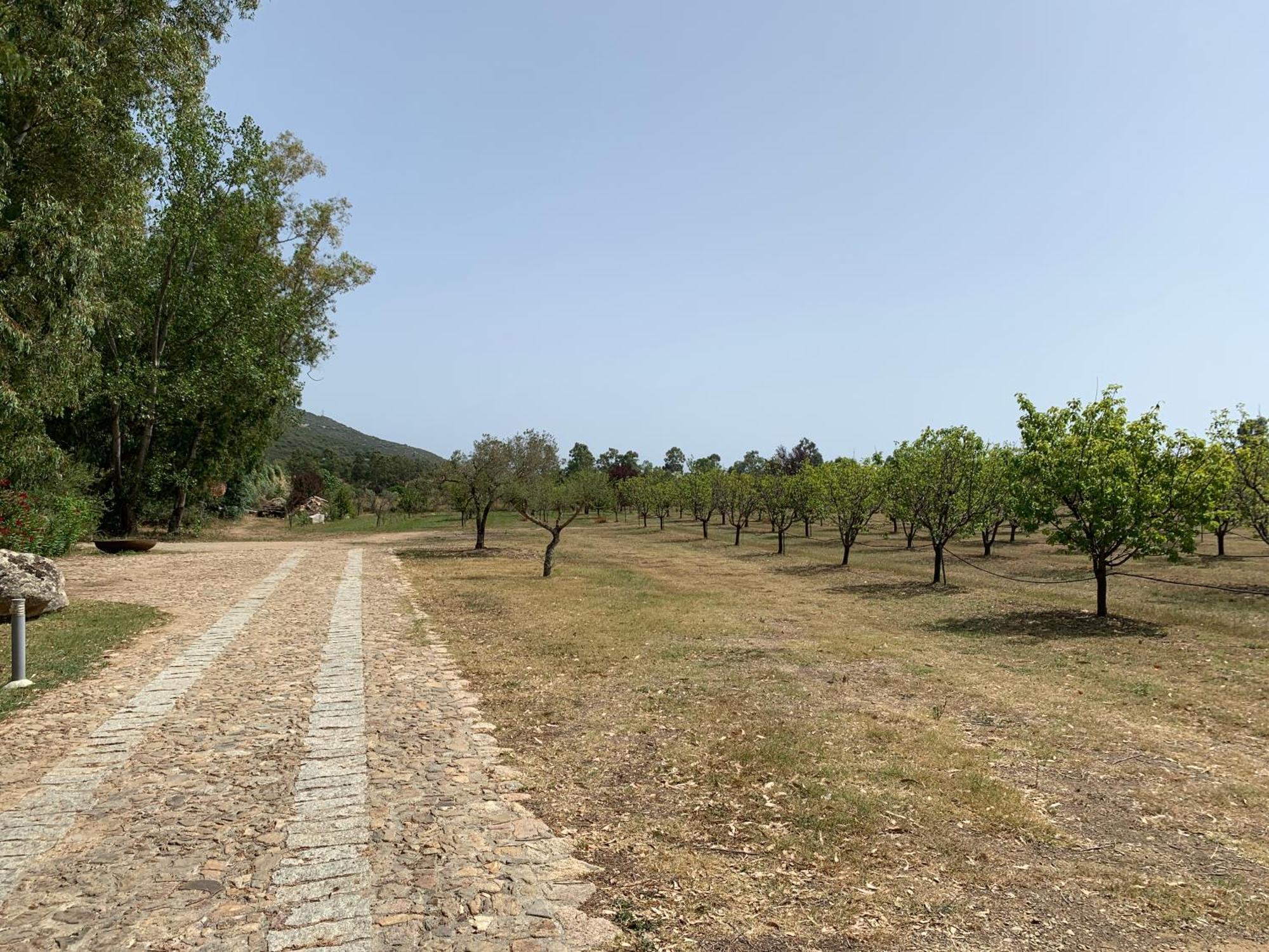 Relais BeneMari Villa Siniscola Bagian luar foto